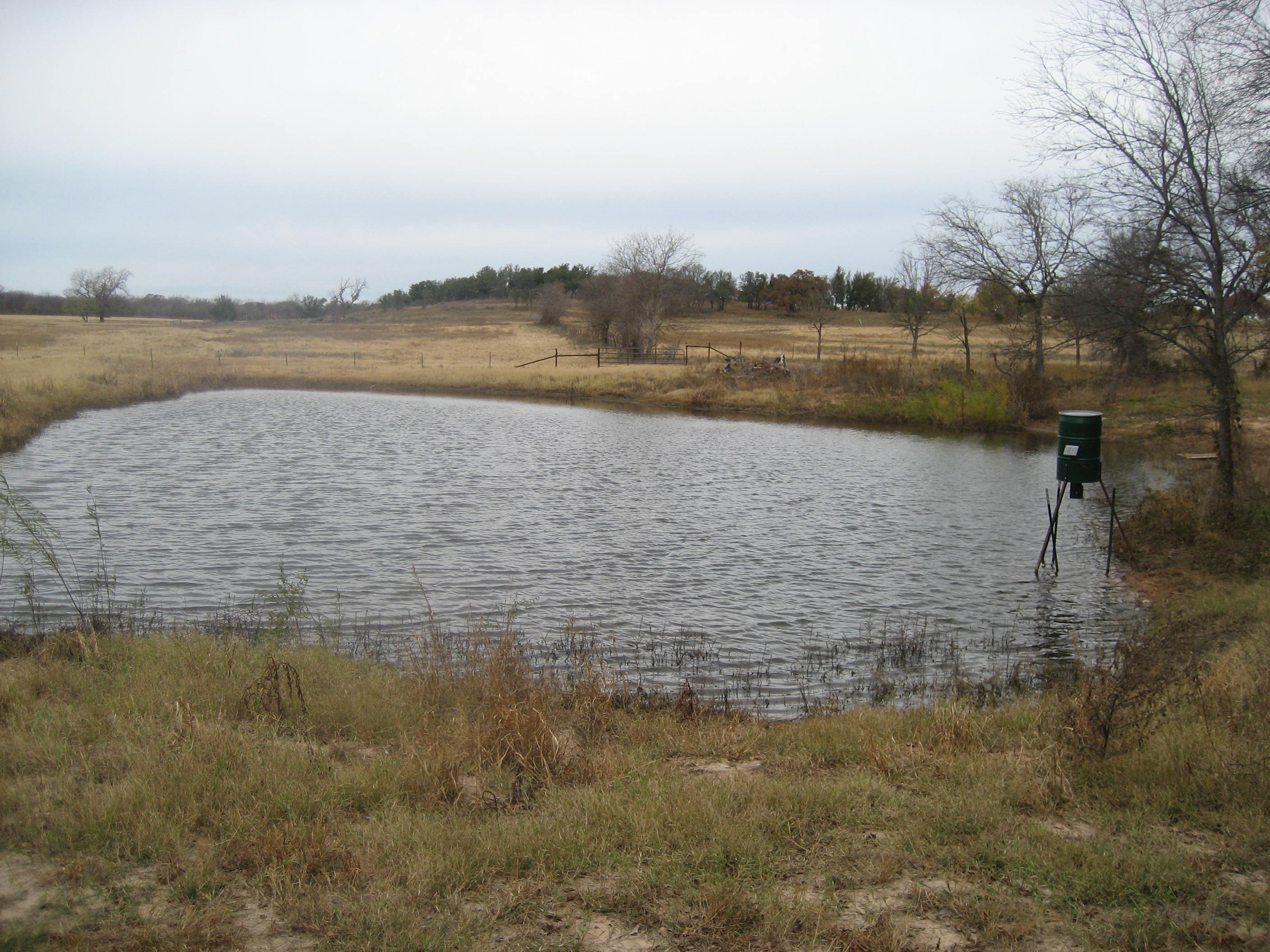 Attached picture Lower Pond 2.jpg